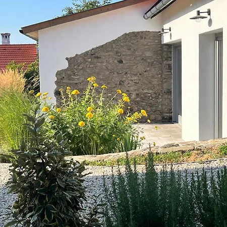 Hopoka Apartment