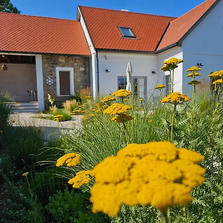 Hopoka Apartament Szentbekkalla